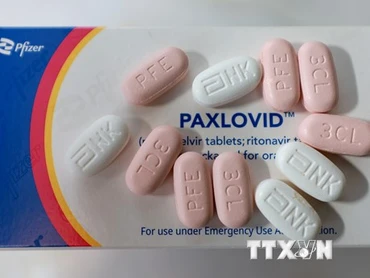 Phần lớn nguồn thu của Pfizer đến từ vaccine và thuốc điều trị Covid-19. (Ảnh: AFP/TTXVN)
