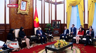 Chủ tịch nước tiếp Đại sứ Romania