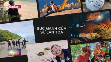 Môi trường xanh: Nỗ lực bảo tồn, bảo vệ rùa biển