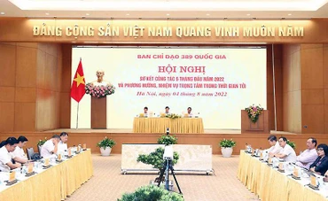 Hội nghị trực tuyến toàn quốc sơ kết công tác 6 tháng đầu năm của Ban Chỉ đạo. (Ảnh: VGP)