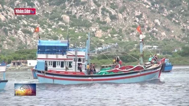 Ninh Thuận chống khai thác hải sản bất hợp pháp