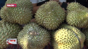 Sầu riêng chính thức được xuất khẩu sang Trung Quốc