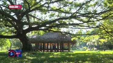 Tuyên Quang nơi khởi nguồn cách mạng