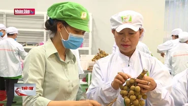 Kiểm soát chất lượng, nâng cao giá trị xuất khẩu nông sản Việt