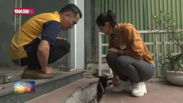 Người dân vùng sạt lở mong mỏi phương án tái định cư