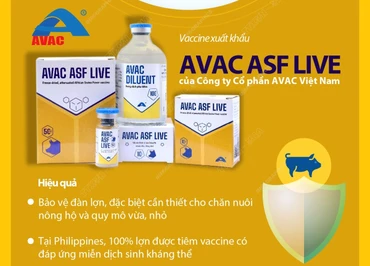 Việt Nam chính thức xuất khẩu vaccine phòng bệnh dịch tả lợn châu Phi