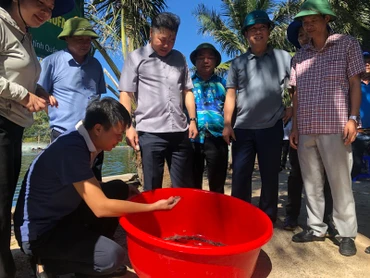 Giám đốc Trung tâm Khuyến nông quốc gia Lê Quốc Thanh thăm mô hình nuôi tôm ở Quảng Bình.