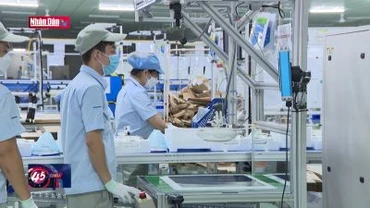 Doanh nghiệp FDI tiên phong, dẫn dắt thực hiện tăng trưởng xanh