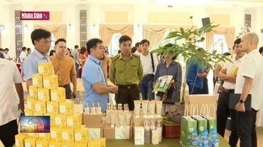 Phát triển dược liệu gắn với du lịch sinh thái