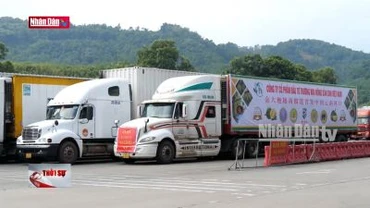 Xuất khẩu sầu riêng qua cửa khẩu Lào Cai thuận lợi