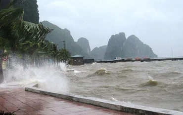 Ảnh minh họa.