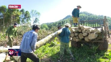 Nâng cao giá trị đa dụng hệ sinh thái rừng