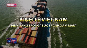Kinh tế Việt Nam - Điểm sáng trong ''bức tranh xám màu''