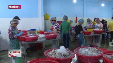 Nỗ lực gỡ ''thẻ vàng'' thủy sản gặp nhiều khó khăn