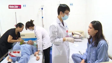 Kiến ba khoang hoành hành, nhiều người nhập viện vì điều trị sai cách