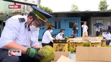 Xúc tiến thương mại qua hoạt động xuất nhập khẩu