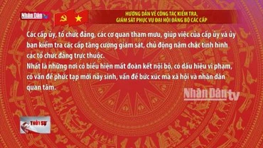 Hướng dẫn về công tác kiểm tra, giám sát phục vụ Đại hội Đảng bộ các cấp