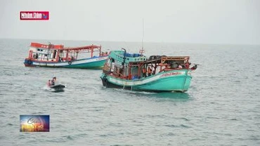 Cà Mau thiết lập an ninh, trật tự trên biển