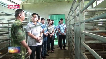 Xây dựng, nhân rộng các mô hình giảm nghèo hiệu quả