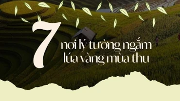 [Infographic] 7 nơi lý tưởng ngắm lúa vàng mùa thu