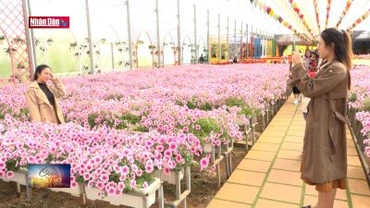 Lâm Đồng sẵn sàng đón 200 nghìn lượt khách đến nghỉ lễ 30/4 và 1/5