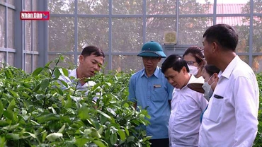 Tự soi, tự sửa để xây dựng tổ chức cơ sở Đảng bốn tốt