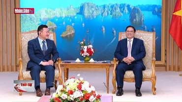 Thủ tướng tiếp Tổng Giám đốc Tập đoàn Samsung điện tử