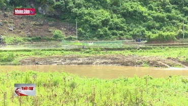 Khai thác vàng trái phép vùng giáp ranh