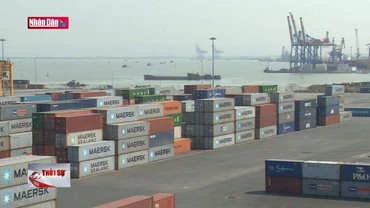 Thí điểm hỗ trợ doanh nghiệp tự nguyện tuân thủ pháp luật Hải quan