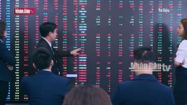 Luật hóa hành vi thao túng chứng khoán