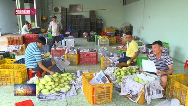 Tăng chế biến sâu, lối mở cho xuất khẩu nông sản