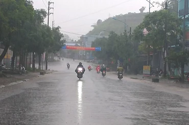 Ảnh minh họa.