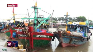 Hải Phòng: Cấm biển để phòng, chống bão số 2