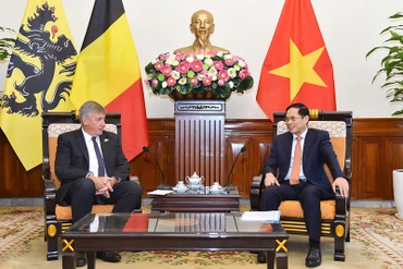 Bộ trưởng Ngoại giao Bùi Thanh Sơn tiếp Bộ trưởng-Thủ hiến vùng Flanders, Vương quốc Bỉ Jan Jambon.