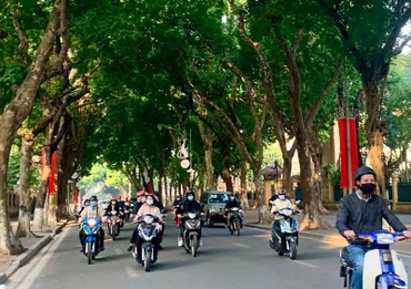 Ảnh minh họa.
