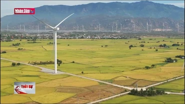 Giảm phát thải khí nhà kính, phát triển xanh bền vững