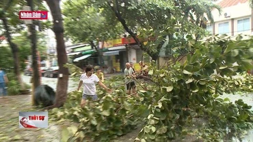 Người dân Đà Nẵng chung tay dọn vệ sinh sau bão
