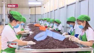 Thu hồi hàng nghìn tỷ đồng qua thanh tra đóng bảo hiểm xã hội