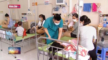 Không chủ quan điều trị sốt xuất huyết cho trẻ tại nhà