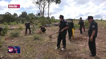 Kiên Giang tăng cường chống chặt phá rừng