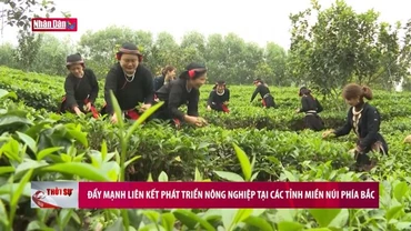 Đẩy mạnh liên kết phát triển nông nghiệp tại các tỉnh miền núi phía Bắc