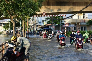 Ảnh minh họa.