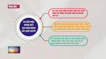 Ba dấu hiệu nhận biết khi khỏi bệnh sốt xuất huyết