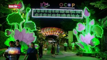 Lễ hội Sen Hà Nội: Cơ hội quảng bá giá trị văn hóa truyền thống