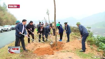 Tuyên Quang: Cán đích trước 1 năm đề án trồng 1 tỷ cây xanh