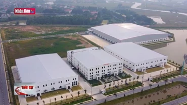 Thích ứng với thuế suất tối thiểu toàn cầu