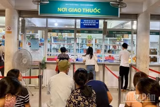 Danh mục thuốc bảo hiểm y tế của Việt Nam tương đối đầy đủ, toàn diện và mở rộng so với mức phí đóng bảo hiểm y tế. (Ảnh: ĐỖ THOA)