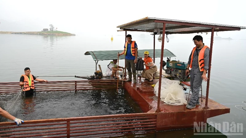 Tiềm năng nuôi trồng thủy sản hồ chứa miền Bắc: Khai thác chưa tương xứng với không gian lớn
