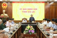 Phó Thủ tướng đề nghị tỉnh Gia Lai tập trung tối đa lực lượng, phương tiện nhanh chóng khắc phục hậu quả của bão. (Ảnh: VGP)