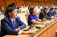 Tại kỳ họp thứ 7, Quốc hội đã thông qua Luật sửa đổi, bổ sung một số điều của Luật Đất đai số 31/2024/QH15, Luật Nhà ở số 27/2023/QH15, Luật Kinh doanh bất động sản số 29/2023/QH15, Luật Các tổ chức tín dụng số 32/2024/QH15. (Ảnh: ĐĂNG ANH)